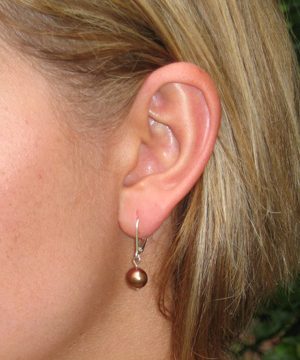 #E54 Bronze lever back earrings