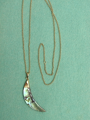 #F520 Abalone Shell Pendant on Gold Chain